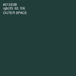 #213E3B - Outer Space Color Image